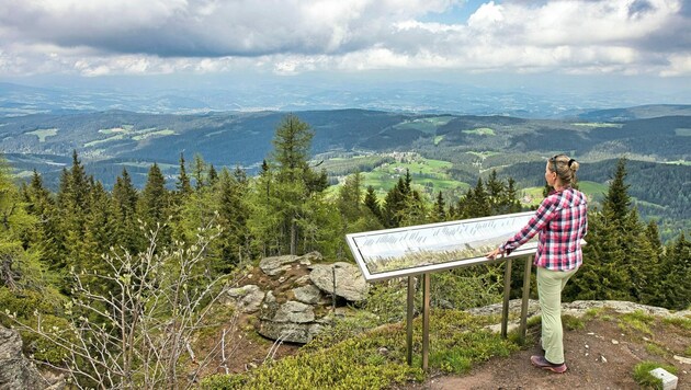 Die Wanderung auf den Großofen bietet wunderbare Ausblicke und spannende Abschnitte (Bild: Weges)