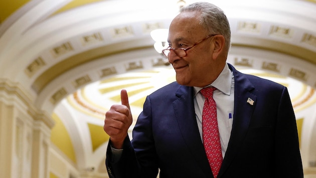 Chuck Schumer, Mehrheitsführer im US-Senat, lädt die „Besten der Besten“ im Bereich KI an einen Tisch. (Bild: APA/AFP/Getty Images/Anna Moneymaker)
