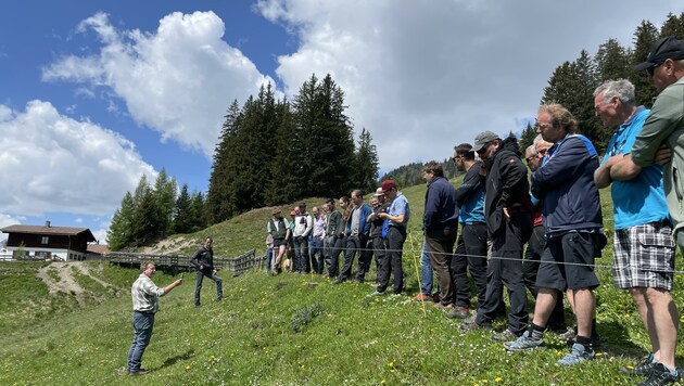 Das große Interesse zeigte: Es geht um die Zukunft der Almen. (Bild: Gasser)