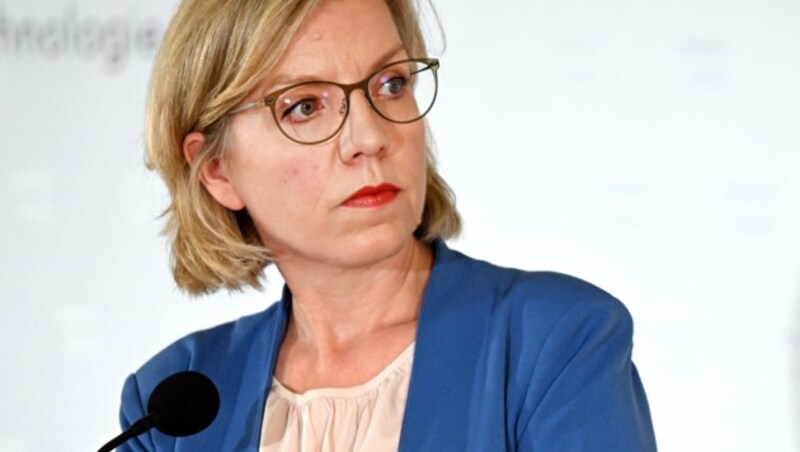 Klimaschutzministerin Leonore Gewessler sieht die Privatfliegerei sehr kritisch. (Bild: ROLAND SCHLAGER / APA / picturedesk.com)