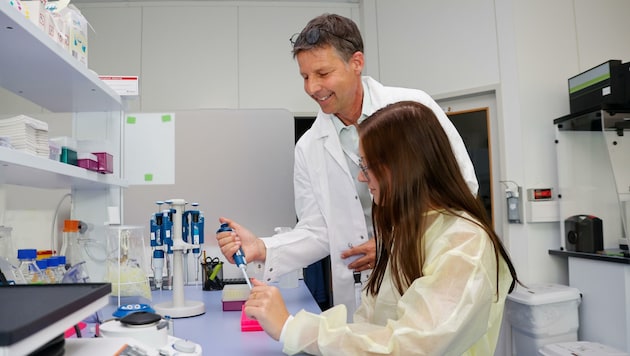 Genetiker Wolfgang Schnitzel bei einer Genanalyse im Labor der Anifer Pharmgenetix. (Bild: Tschepp Markus)