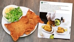 Dass ausgerechnet die „Heimat des Schnitzels“ mit einer veganen Alternative warb, sorgte für Irritationen. (Bild: Peter Tomschi, facebook.com/figlmueller, Krone KREATIV)