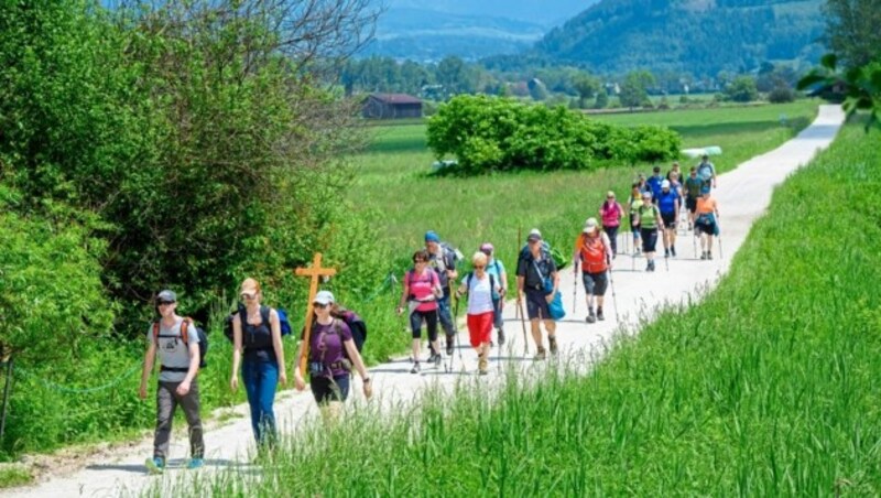 Die Metnitzer Wallfahrer folgten dem Kreuz 121 Kilometer lang. (Bild: Wolfgang Schuh)