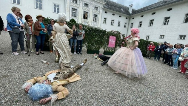 (Bild: Evelyn Hronek) (Bild: Evelyn Hronek)
