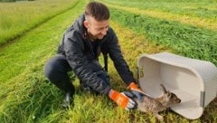 Drohnenpilot Alexander Gruschina mit einem der geretteten Rehkitze (Bild: zVg)