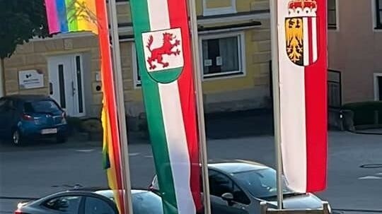 Am nächsten Tag in der Früh war die Regenbogenfahne (li.) in Fetzen gerissen (Bild: SPÖ)