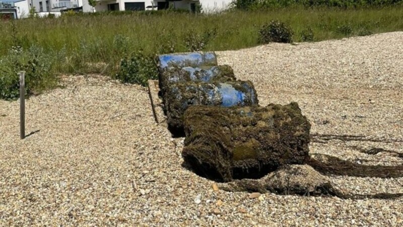 Die Fässer dürften zu einer Schwimmplattform gehört haben. (Bild: Feuerwehr Parndorf)