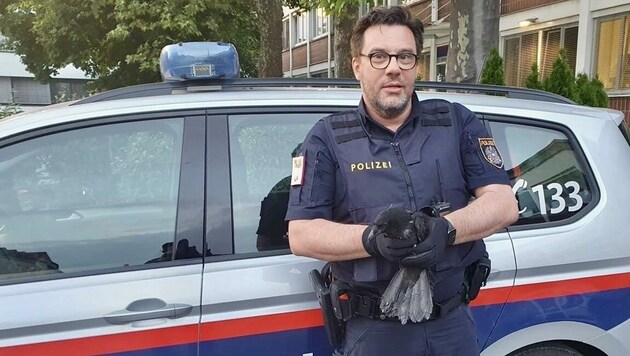 Polizist Oliver mit der Krähe, die auf den Namen „Gloria“ getauft wurde (Bild: Polizei OÖ)