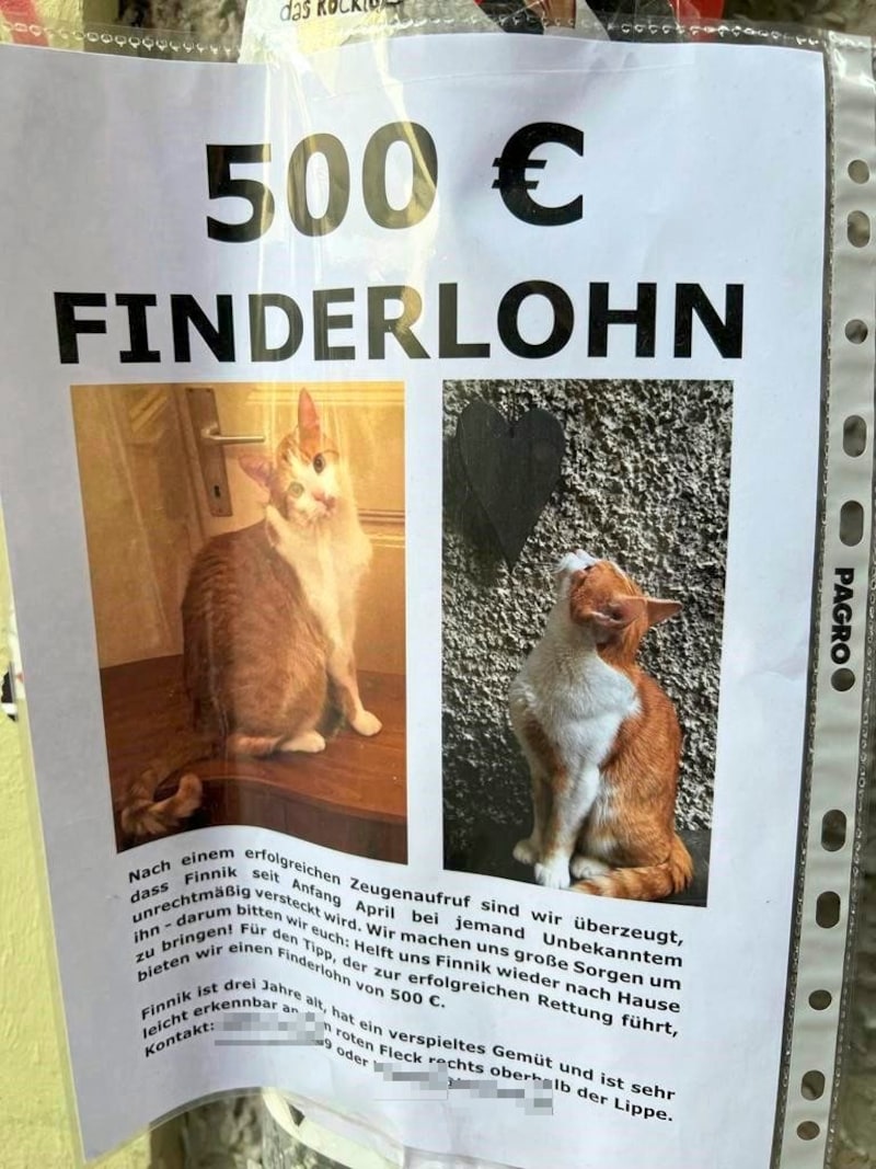 (Bild: zVg, Krone KREATIV)