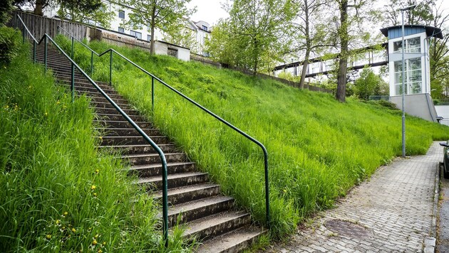 Steil geht es vom Parkplatz in das Zentrum von Waidhofen an der Thaya hinauf. Wenn der Lift vor Ort nicht funktioniert, sorgt das für großen Unmut. (Bild: KLAUS SCHINDLER)