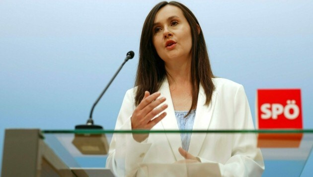 Grubesa schmeißt hin (Bild: APA/GEORG HOCHMUTH)
