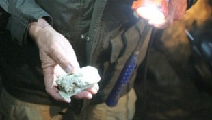 Auf der Koralpe im steirisch-kärntnerischen Grenzgebiet soll einer der ersten Lithium-Bergbaubetriebe Europas entstehen. (Bild: Krone-Archiv)