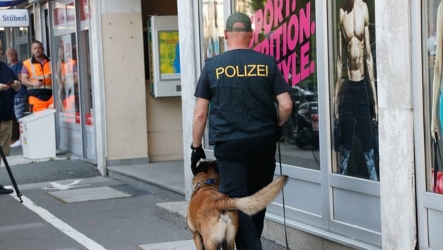 Auch ein Polizei-Hund schnüffelte nach Indizien. (Bild: Tschepp Markus)