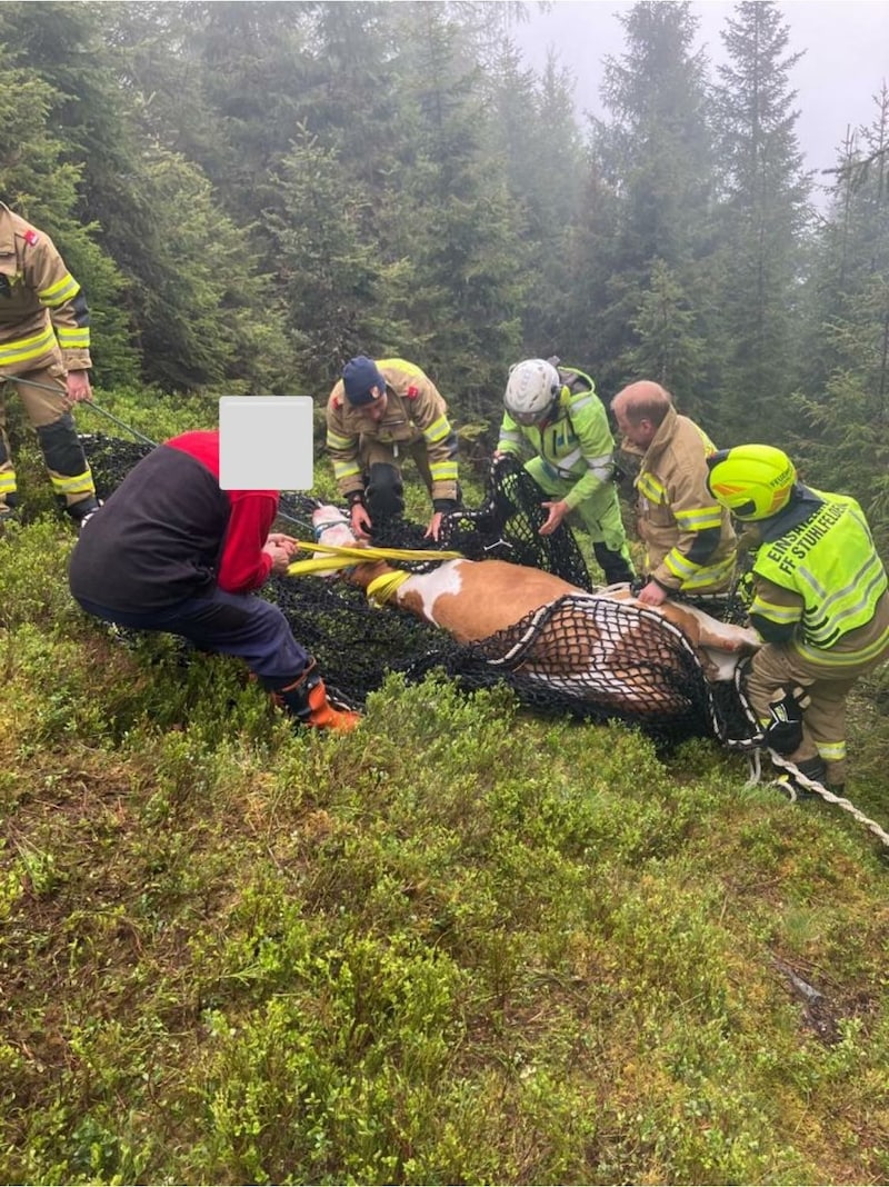 15 Stuhlfeldener Floriani waren im Einsatz. (Bild: FF Stuhlfelden)