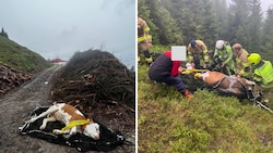 „Wolli“ konnte nicht mehr aufstehen und wurde mit dem Hubschrauber gerettet. (Bild: FF Stuhlfelden, Krone Kreativ)