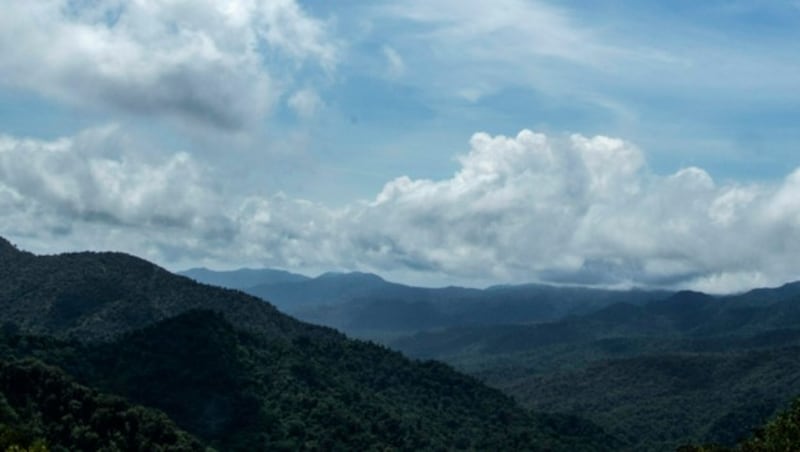 Der Nebelwald im Biologischen Reservat Monteverde in den Bergen Costa Ricas ist ein einzigartiges Ökosystem. Doch wegen des Klimawandels bleibt der Nebel immer öfter aus. (Bild: AFP/Ezequiel Becerra)