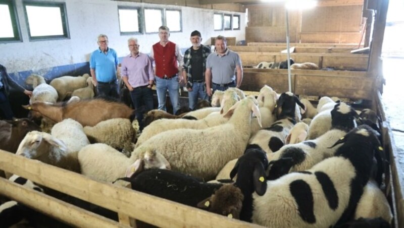 Der Verein Weidezone mit Obmann Brugger (Mitte) vertritt die Interessen mehrer tausend Schafzüchter. Einer von ihnen hat nun 1500 Euro „Kopfgeld“ pro Wolf ausgesetzt, gültig für die ersten zehn geschossenen Tiere. (Bild: Birbaumer Christof)