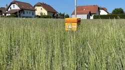Einsam und verlassen stand der Briefkasten mittlerweile mitten im hohen Gras. (Bild: zVg)