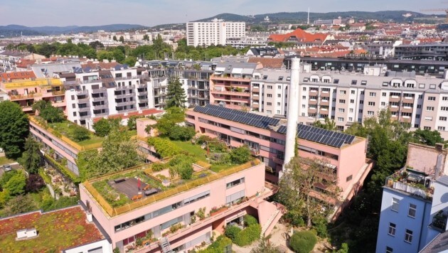 Auf den Dächern von Wien wurde 2021 dieses Festival gestartet und gewinnt immer mehr an Beliebtheit. (Bild: felix vollmann) Auf den Dächern von Wien wurde 2021 dieses Festival gestartet und gewinnt immer mehr an Beliebtheit. (Bild: felix vollmann)