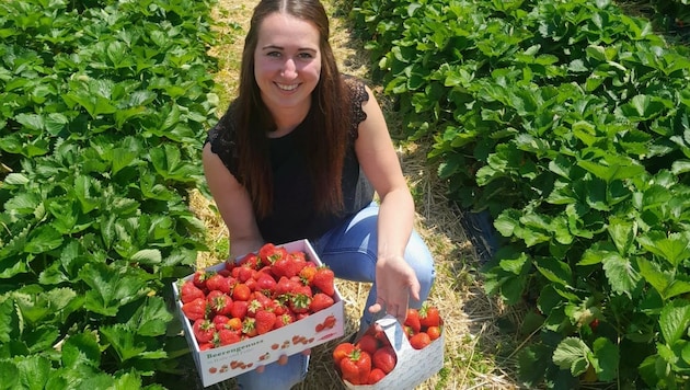 Johanna Pfurtscheller aus Terfens mit den Früchten ihrer Arbeit am Erdbeerfeld. (Bild: Pfurtscheller)
