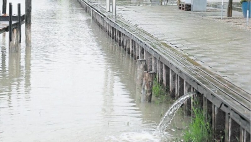 Die Wassermassen suchten sich ihren Weg in den Neusiedler See. (Bild: Reinhard Judt)