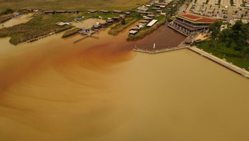 In Weiden (Burgenland) verfärbte sich der See (Bild: Arnold Digruber)