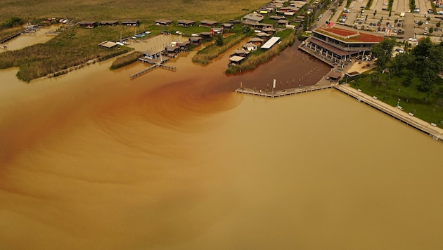 In Weiden verfärbte sich der See. (Bild: Arnold Digruber)