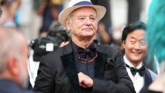 Bill Murray soll frisch verliebt sein. (Bild: www.PPS.at)