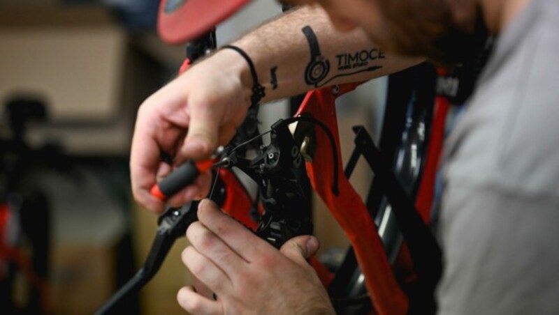 Rund 1000 Bikes hat Kaloveo im Umlauf. Nach zwei Saisonen werden diese ausgetauscht, generalüberholt und unter used-bikes.com verkauft. (Bild: Markus Wenzel)