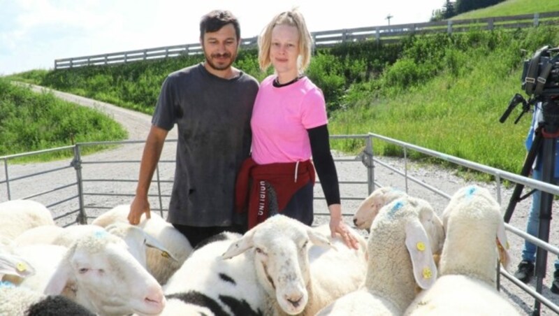 Bastian und Lena zogen mit Hütehund „Jimmy“ rauf auf 2020 Meter Seehöhe. (Bild: Juergen Radspieler)