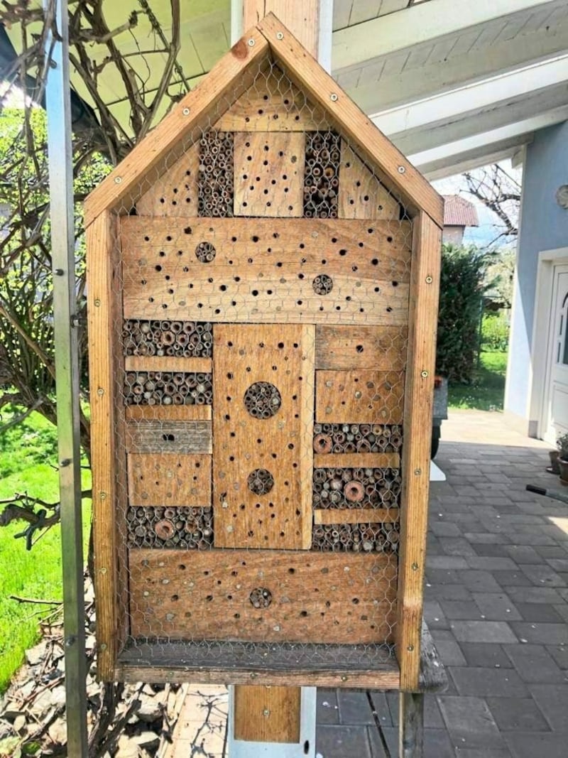 In diesem selbstgebauten Insektenhotel leben rostrote Mauerbienen. (Bild: Fischer Claudia)