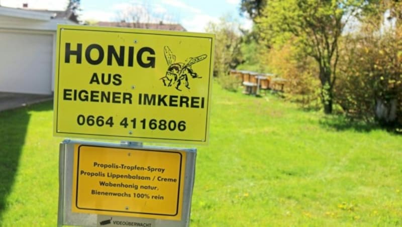 Von Honig bis zu Propolis-Produkten kann man mitten in Klagenfurt kaufen. (Bild: Fischer Claudia)