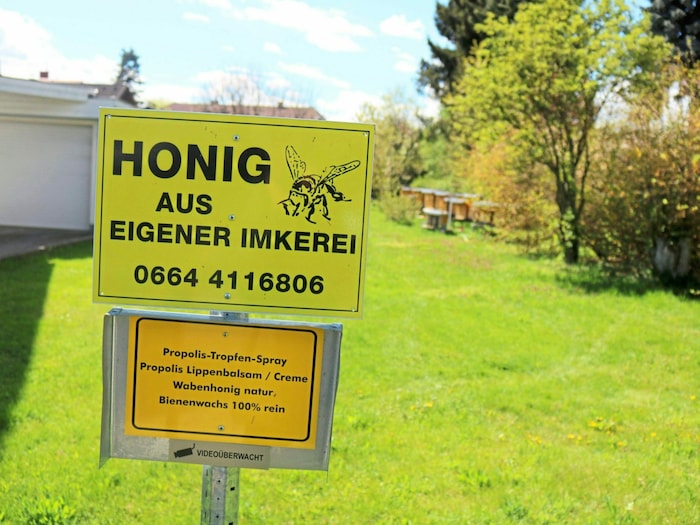 Von Honig bis zu Propolis-Produkten kann man mitten in Klagenfurt kaufen.