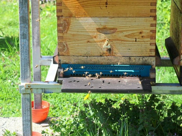Auch bei den Bienenstöcken hat er keine Mühe gescheut.