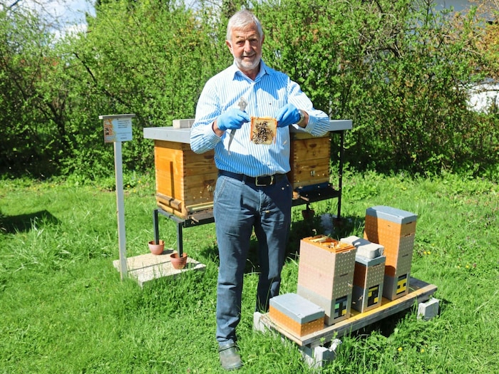 Siegfried Gabner mit seinen friedlichen Bienen.