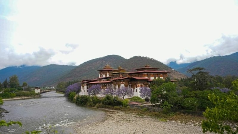 Natur pur rund um die Klosterfestung in Punakha (Bild: Upasana Dahal)