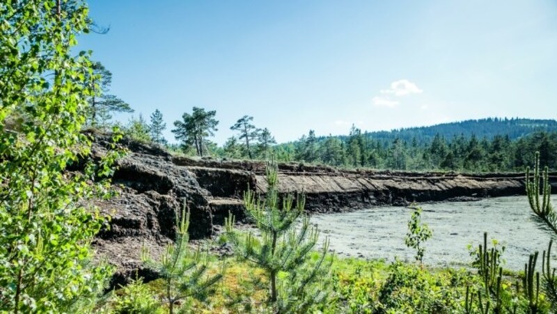 Das höchstgelegene Moor in Garanas (Bild: LUPI SPUMA)