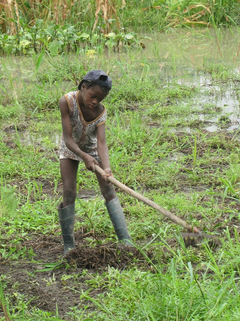 Kinder müssen in vielen Ländern harte Arbeit auf den Feldern verrichten (Bild: Jugend Eine Welt )