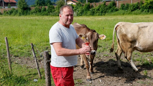 Für Landwirt Ernst Hetz ist der Hundekot auf der Weide ärgerlich, für seine Kühe lebensbedrohlich. (Bild: Tschepp Markus)