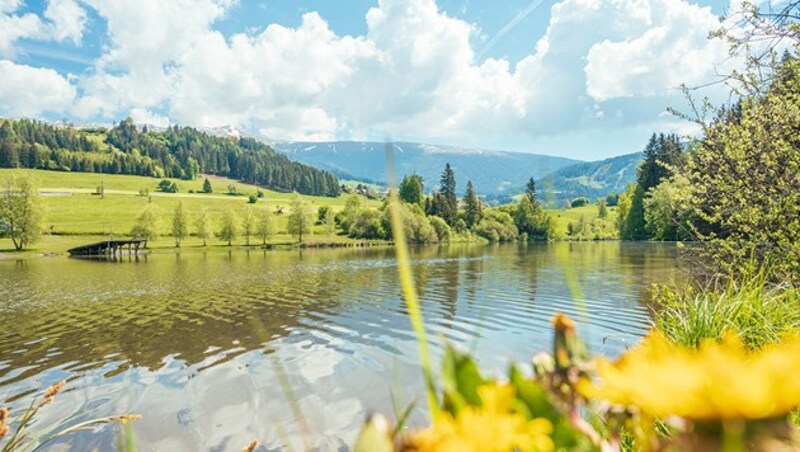 (Bild: Auszeit ****Hotel)
