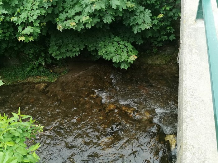 Drei Meter tief stürzte der Zweijährige von der Brücke in den Bach.