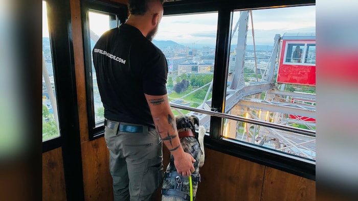 Animal corner protégé "Rafi" even had a ride on the Ferris wheel during environmental training. 
