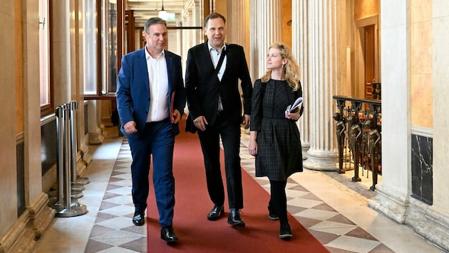 von links: Andreas Babler, Philip Kucher und Eva-Maria Holzleitner (Bild: APA/Helmuth Fohringer)