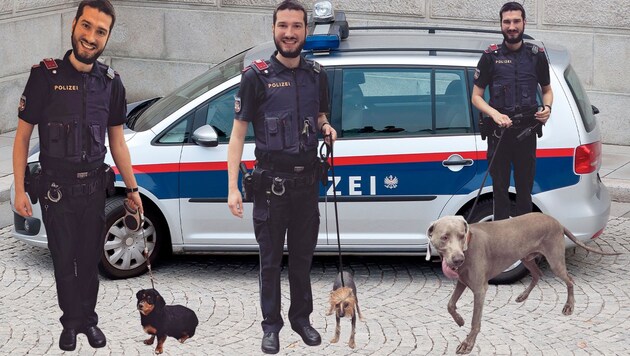 Ein in Baden zuletzt gewohntes Bild: Polizist Michael mit einem Hund an der Leine. (Bild: Stadtpolizei Baden, Krone KREATIV)