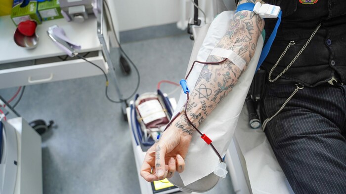 Pro Jahr dürfen Frauen viermal, Männer maximal sechsmal Blut spenden. 