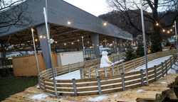 Im Volksgarten könnte es bald ganz anders aussehen. (Bild: Tröster Andreas)