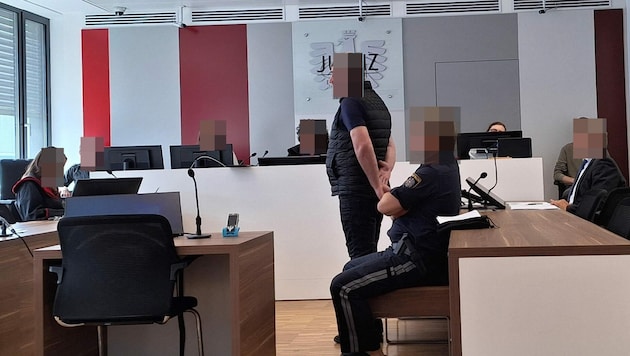 Der 42-Jährige, der trotz Aufenthaltsverbot mehrmals nach Österreich gereist war, gab beim Prozess in Eisenstadt vier Einbrüche und einen Versuch zu. (Bild: HS, Krone KREATIV)