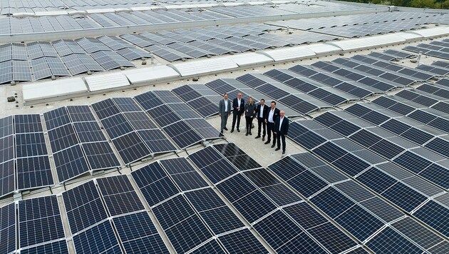 Erst beim Blick von oben wird das gewaltige Ausmaß der Anlage klar. (Bild: Burgenland Energie)