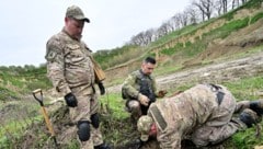 Ein Minenfeld in der Ukraine (Archivbild)