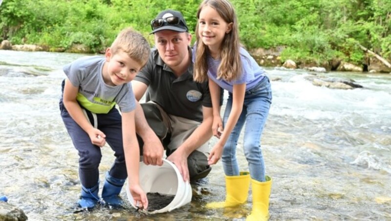 Gemeinsam mit dem Verein „Fly Vellach“ wurden Bachforellen in die Vellach gesetzt. (Bild: Hronek Eveline)